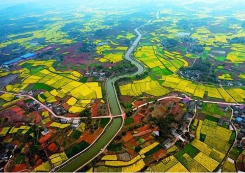 生意碳汇量5561吨   四川首单水土坚持碳汇生意在成都告竣