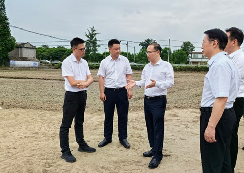 胡云赴眉山调研耕地保；；；；；な褂煤透弑曜寂┨锝ㄉ枋虑