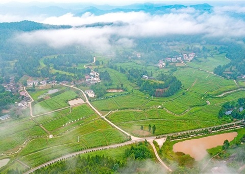 遂宁市守住耕地“命脉”  沃野千里织漂亮