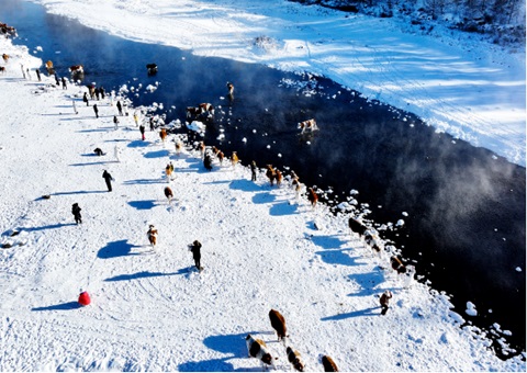 内蒙古“中国冷极”地理标记正式完工  精准测绘赋能北疆生态清静与特色生长