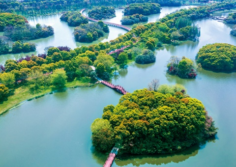 江西省湿地；；；；；；；ぢ室汛61.99%