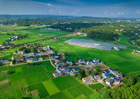 湖南：靶向发力盘活存量土地资产<br>为206家机关企事业单位定制处置惩罚计划，，，，，盘活土地2.6万亩