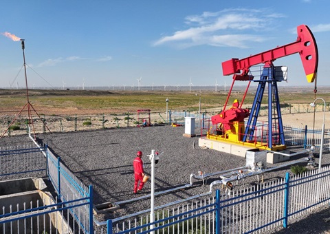 宁夏纵深推进新一轮找矿突破战略行动，，，，，，，，实验一批煤层气、页岩气、煤炭等勘查项目