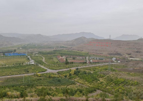 宁夏一连拉动“三山”生态保；；；；；ば薷础敖忍酢