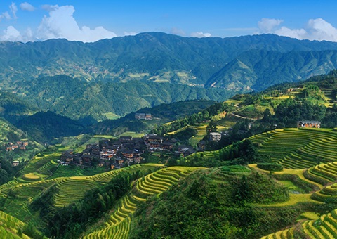 津贴200万元！广西实验林权挂号财务资金激励