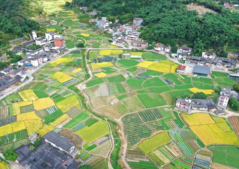 94宗千余亩用地入市 发动投资超28亿元 泉州“集建入市”试点事情取得阶段性效果