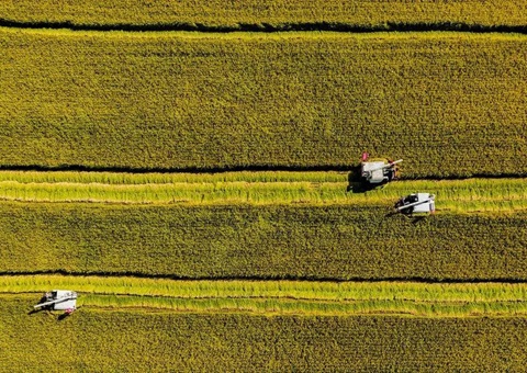 辽宁省耕地地力；；；；；；そ蛱曜汲鎏