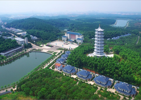 湖北：用好“一张图” ，，，，，，，，智治有支持