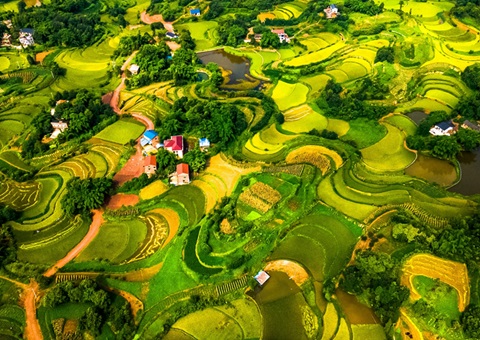 @农民朋侪 2025年重庆市耕地地力保唬；；；；そ蛱苹戳