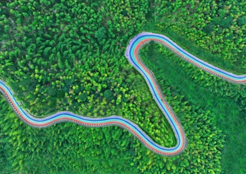 组合供应出新招，，，，，，，竹海收益节节高——桃江县“桃花江竹海”自然资源资产组合供应推动生态产品价值实现案例