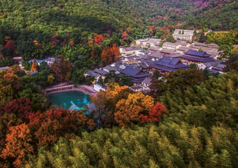 浙江：森林公园生态旅游怎样高质量生长？？？？？？